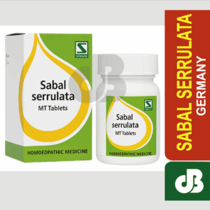 SABAL SERRULATA